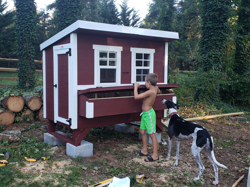 Boy and Dog W_ Coop